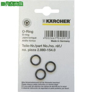 KARCHER @pANZT[ O-OZcg 100g(2.880-168.0)ki:2.880168.0ly7939175:0z[Xs]