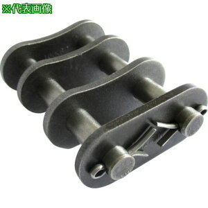 ��KANA HKK SBR-PLUS ���[���`�F�[��(�������`�F�[��) �s�b�`P:31.75�k�i��:HKK1002SBRJL�l�y7985495:0�z[�����ʓr���ς�][�f�O���][�X�����s��]
