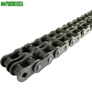 ��KANA HKK SBR-PLUS ���[���`�F�[��(�������`�F�[��) �s�b�`P:31.75�k�i��:HKK1002SBRRPT�l�y7985517:0�z[�����ʓr���ς�][�f�O���][�X�����s��]