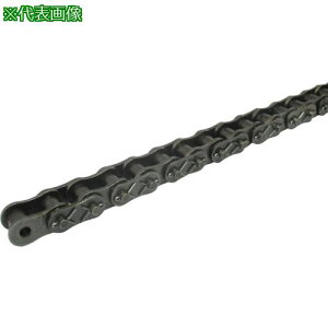 ��KANA HKK SBR-PLUS ���[���`�F�[��(�������`�F�[��) �s�b�`P:31.75�k�i��:HKK100SBRCPT�l�y7985525:0�z[�����ʓr���ς�][�f�O���][�X�����s��]