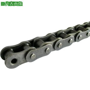 ��KANA HKK SBR-PLUS ���[���`�F�[��(�������`�F�[��) �s�b�`P:31.75�k�i��:HKK100SBRRPT�l�y7985550:0�z[�����ʓr���ς�][�f�O���][�X�����s��]
