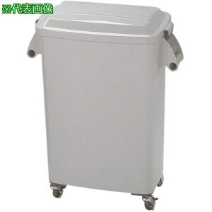 ~dV} ~[y[CK-45 O[ki:2140241ly8020834:0z[ʓrς][@lEƏ][O][Xs]