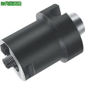 ��Walter ���f���[�T�k�i��:A102M.0.80.080.63�l�y8032107:0�z[�����ʓr���ς�][�f�O���][�X�����s��]