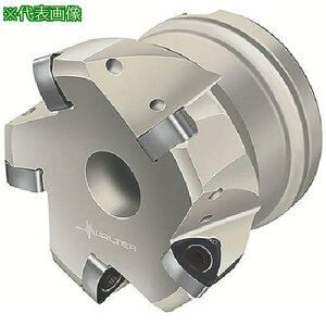 ��Walter �v�����W�J�b�^�[�k�i��:F4030.T22.025.Z02.01�l�y8036102:0�z[�����ʓr���ς�][�f�O���][�X�����s��]