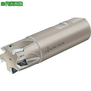 ��Walter �����J�b�^�[�k�i��:F4042R.B22.063.Z06.10�l�y8036336:0�z[�����ʓr���ς�][�f�O���][�X�����s��]