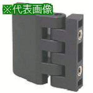 ELESA Gv}Vi[qWki:EMH5565TTly8056621:0z[ʓrς][fO][Xs]