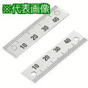 ���C�}�I �X�P�[���k�i��:ES3N100D�l�y8060741:0�z[�X�����s��]