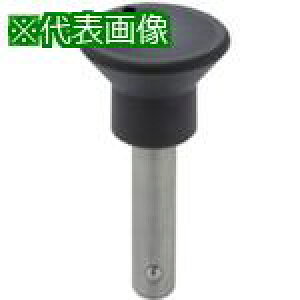 ��kipp �{�[�����b�N�s���k�i��:NBLP10025SUS�l�y8061474:0�z[�����ʓr���ς�][�f�O���][�X�����s��]