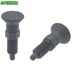 ��kipp �C���f�b�N�X�v�����W���[(�����OST.)�k�i��:NDXNE6�l�y8062416:0�z[�����ʓr���ς�][�f�O���][�X�����s��]