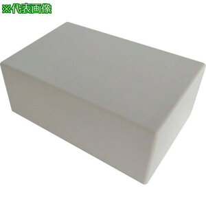 ���e�C�V�� �v���X�`�b�N�P�[�X �A�C�{���[ 85X135X40 2.54��k�i��:TB12IV�l�y8068211:0�z[�����ʓr���ς�][�X�����s��]