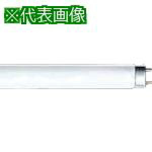  g_puvs25tki:FHF32EXLHly8071149×25:0z[ʓrς][fO][Xs]