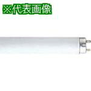  uvE5D ivd40Ws25tki:FLR40SEXNMHly8071154×25:0z[ʓrς][fO][Xs]