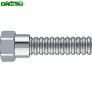 KAKUDAI ptLpCv(KCh)ki:798520X450ly8075854:0z[ʓrς][fO][Xs]