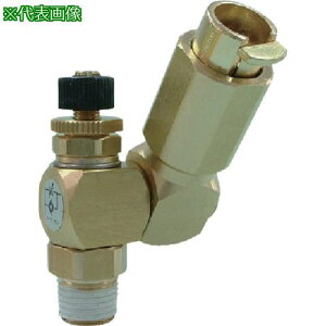 ���`���_ H�^�C�v�X�s�[�h�R���g���[�������[�^�[�C��10mm�ER1/4�k�i��:CB1002SCHI�l�y8082562:0�z[�����ʓr���ς�][�f�O���][�X�����s��]