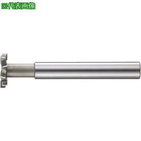 ■FKD ロングシャンク千鳥刃Tスロットカッター12×6〔品番:LSSTC12X6〕【8102038:0】[送料別途見積り][掲外取寄][店頭受取不可]