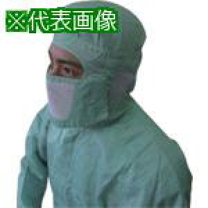 BLASTON }XN  rbO (10)ki:BSC30001GBly8106166:0z[ʓrς][Xs]