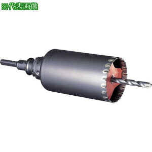 ~iK ALCpRAh Zbg(SDSvXVN) 55ki:PCALC55Rly8113509:0z[ʓrς][fO][Xs]