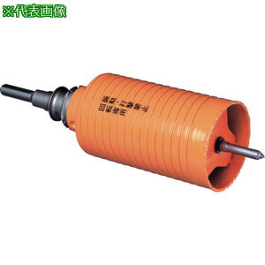 ���~���i�K �����n�C�p�[�_�C���R�A�h���� �Z�b�g SDS�v���X�V�����N ��165�k�i��:PCHP165R�l�y8114023:0�z[�����ʓr���ς�][�f�O���][�X�����s��]