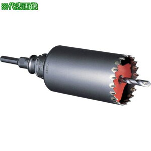 ���~���i�K �U���p�R�A�h����S�R�A �Z�b�g SDS�v���X�V�����N ��200�k�i��:PCSW200R�l�y8114071:0�z[�����ʓr���ς�][�f�O���][�X�����s��]