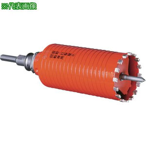 ���~���i�K �h���C�����h�R�A�h���� �Z�b�g(SDS�v���X�V�����N) �����O�T�C�Y ��50×220mm�k�i��:PCD5022R�l�y8114818:0�z[�����ʓr���ς�][�f�O���][�X�����s��]