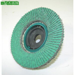 iZ SG jTOP 100pC Z40s10tki:SGTOPZ3ly8126261×10:0z[ʓrς][fO][Xs]