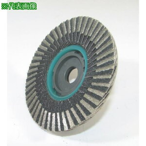 �����i�Z SG �_�C��TOP�f�B�X�N 100x15 1:1 #600�k�i��:SGDTOP113�l�y8126385:0�z[�����ʓr���ς�][�f�O���][�X�����s��]