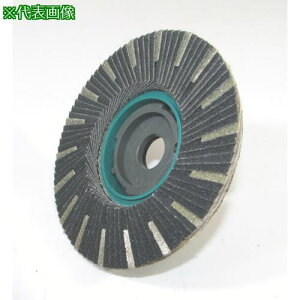 �����i�Z SG �_�C��TOP�f�B�X�N 100x15 1:4 #120�k�i��:SGDTOP47�l�y8126406:0�z[�����ʓr���ς�][�f�O���][�X�����s��]