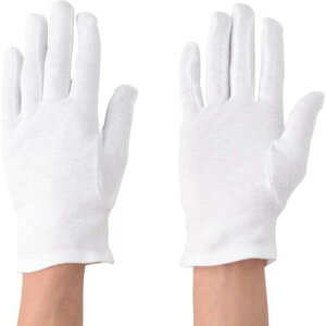 Ag ȃXX }`t Ms5Dztki:39Mly8136808×5:0z[ʓrς][fO][Xs]