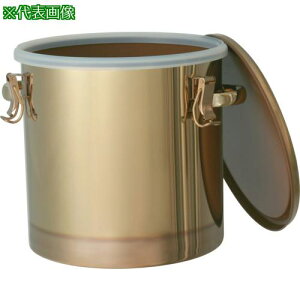 ��MONOVATE �X�e�����X�^���N�R�[�e�B���O���e��20L�k�i��:CTHC30�l�y8147004:0�z[�@�l�E���Ə�����][�O������][�X�����s��]