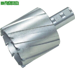 ������ �W�F�b�g�u���[�` 54X75L 14954�k�i��:NO.14954�l�y8147760:0�z[�X�����s��]