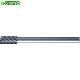 ■MOLDINO エポック21 ロングシャンク CEPLS6060〔品番:CEPLS6060〕【8152219:0】[送料別途見積り][掲外取寄][店頭受取不可]