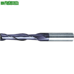 ��MOLDINO C�R�[�g �\���b�h�G���h�~�� �~�f�B�A�� HESM2040-C�k�i��:HESM2040C�l�y8154678:0�z[�����ʓr���ς�][�f�O���][�X�����s��]