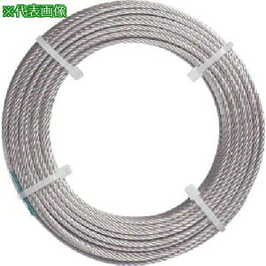 NIKKO JbgC[bL Ca6mm S100m gp׏d290kgki:CWB6100Hly8157536:0z[ʓrς][fO][Xs]