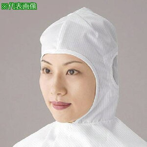 GOLDWIN t[hMs10tki:PA1336BMly8160601×10:0z[ʓrς][fO][Xs]