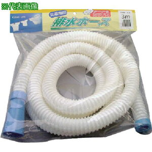 T[ @prz[X30mm 4ms10ܓtki:SH30L4Wly8163721×10:0z[ʓrς][fO][Xs]