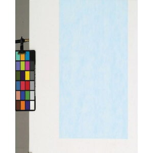 fBJ sDzV[g 100 u[ 90pki:FUB90ly8167779:0z[ʓrς][@lEƏ][O][Xs]