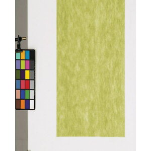 fBJ sDzV[g 100 _[NO[ 90pki:FUDG90ly8167785:0z[ʓrς][@lEƏ][O][Xs]