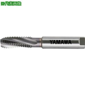 �����}�� �h���C���H�p�X�`�[���p�X�p�C�����^�b�v HDISP P4 M6X1�k�i��:HDISPM6X1�l�y8168183:0�z[�X�����s��]