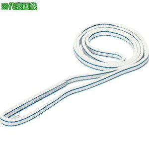 ���V���C �x���g�X�����O �|���G�X�e���X�����O PET3N(JIS3�g�E�L���E) �G���h���X�` 25mm��×����4.25m�k�i��:PET3N25X4.25�l�y8170314:0�z[�����ʓr���ς�][�f�O���][�X�����s��]