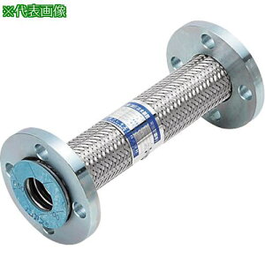 ��NFK ���h��������31���F��(���Δz�Ǘp)�t���L�V�u���z�[�X �t�����W10K/SS400(�ډt��SUS) 65A×500L�k�i��:NK950010KSS40065A500L�l�y8172662:0�z[�����ʓr���ς�][�f�O���][�X�����s��]