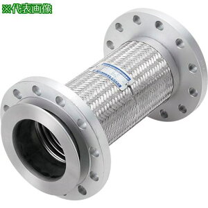 ��NFK ���h��������31���F��(���Δz�Ǘp)�t���L�V�u���z�[�X �t�����W20K/SS400(�ډt��SUS) 125A×600L�k�i��:NK950020KSS400125A600L�l�y8172685:0�z[�@�l�E���Ə�����][�O������][�X�����s��]
