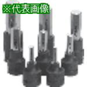 ���g�[�j�` �w�b�N�X�\�P�b�g �������݊p9.53 ��ʕ�5MM�k�i��:442�l�y8173579:0�z[�����ʓr���ς�][�f�O���][�X�����s��]