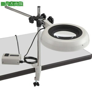 I[cJ LEDƖg勾 SKKL-ST^ 3{ki:SKKLSTX3ly8179151:0z[ʓrς][fO][Xs]