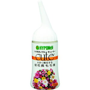 nC|lbNX ؉Ԋ L[g؉Ԓtki:H016418ly8189333:0z[Xs]