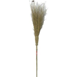 ` |5i FD ԃxs30{tki:A004ly8195461×30:0z[@lEƏ][O][Xs]