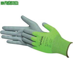 y݌ɌzUVEX y؏izC500 sA Ski:6050367ly8199372:0z[Xs]