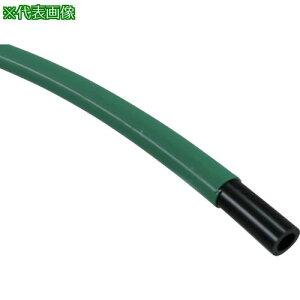 ���`���_ �G���t���b�N�XLE�[S�^�C�v 6mm/20m �΁k�i��:LES620G�l�y8202350:0�z[�����ʓr���ς�][�f�O���][�X�����s��]