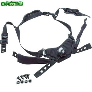 TEAMWENDY JtBbgeV R[e MEL(LED)ki:21B31LEDly8202655:0z[Xs]