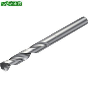 SANDVIK Rh863(720) H10Fki:863.10483020A1OSly8203114:0z[ʓrς][fO][Xs]