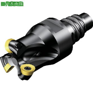 ��SANDVIK �R���~��300 ���ʃt���C�X�J�b�^�[(440)�k�i��:R30016EH1607M�l�y8204174:0�z[�����ʓr���ς�][�f�O���][�X�����s��]